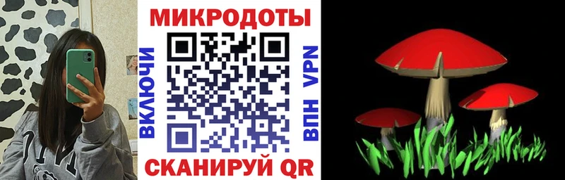 Галлюциногенные грибы MAGIC MUSHROOMS  блэк спрут ссылка  Усть-Илимск  хочу  